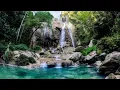 Download Lagu SUARA AIR TERJUN MENGALIR JERNIH DAN BERSIH (NO COPYRIGHT)