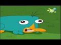 Download Lagu Disney Channel Sweden - NEW EPISODES: PHINEAS AND FERB (2009) - Promo