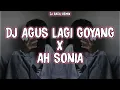 Lagu DJ SONIA X AGUS LAGI GOYANG - DJ RAGIL (DJ TEBANG STYLE)