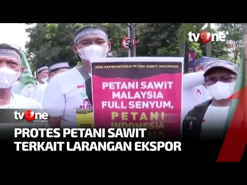 Hasil Tani Tidak Laku Sejak Larangan Ekspor, Petani Sawit Demo