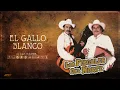 Los Fiscales Del Norte - El Gallo Blanco