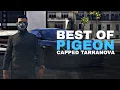 Best Of PIGEON Capped Tarranova NoPixel 4 0 GTA RP CG