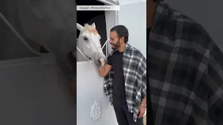 النتيجة هتفرحك اوى 😍 #٦٠شو_مع_الدكتور_حاتم_ستين