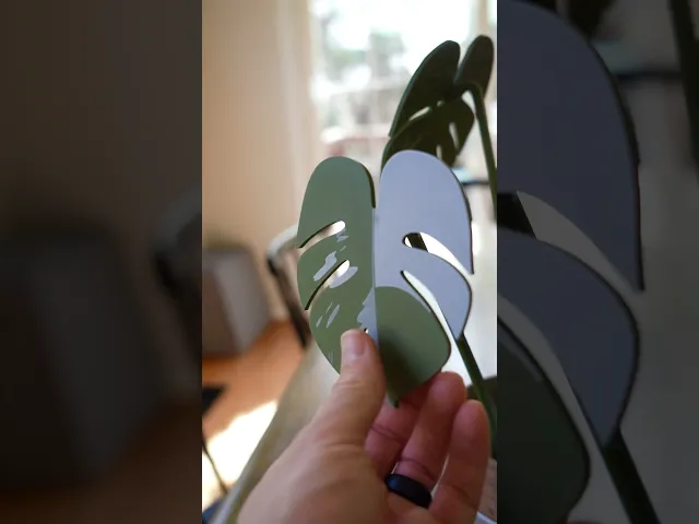 Monstera Coasters - Classic video thumbnail