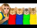 Download Lagu Bin Bon duck Monkey Baby Kittens Puppy Goes Koi Cat And swims Rabbits Animals Eats Egg Muckbang Asmr
