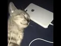 [playlist]