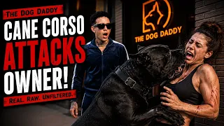 Huge Out Of Control Dog, Attacks Owner While Going After Another Dog. 
