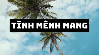 Download Tình Mênh Mang - Đan Trường - Nhạc trẻ MP3