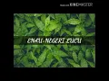 Enau - negeri lucu
