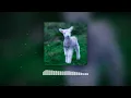 Julia Wolf - lamb (feat. Kellin Quinn)