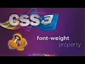 CSS for beginners 48 font-weight property