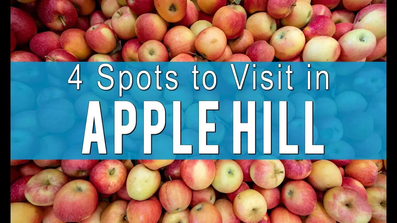 Apple Hill: 4 Ranches to Visit for Apple Picking and Donuts