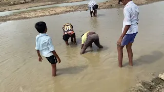 #live fish catching techniques | village style done by boys | #singlesfoodfactory 