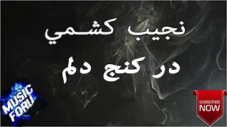 بهترین آهنگ نجیب کشمی در کنج دلم New Najib Kishmi 