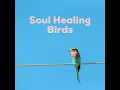 Morning Birds