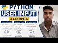 Python User Input in 3 Easy Examples Beginner Friendly Python Tutorial