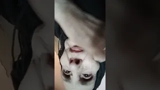 ٢٥ أبريل ٢٠٢٢ 