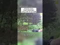 Good girl Sika Police dog finds missing child with autism