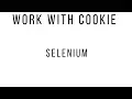 Working With Cookies in Selenium Cookies using Selenium Java Webdriver Selenium Commands