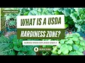 What Is a USDA Hardiness Zone Garden Zones Explained Simply
