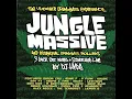 Download Lagu DJ Hype - Jungle Massive CD1