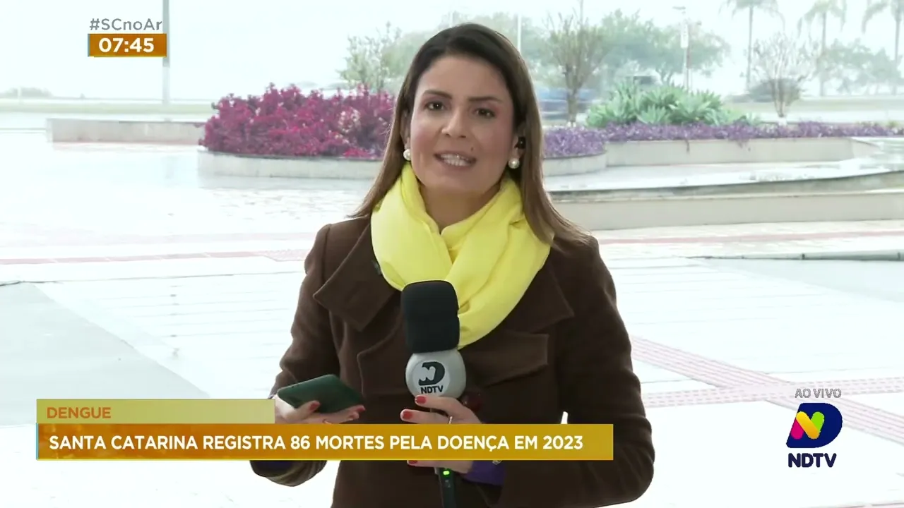 SC contabiliza 86 casos de mortes por dengue somente neste ano