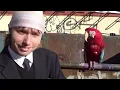 Lewis OfMan - Too Much Text (Official Music Video)
