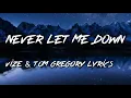 Never Let Me Down VIZE & Tom Gregory Lyrics
