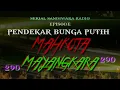 Download Lagu KALABA Dan MAYURA Sedang Menikmati Indahnya Bukit PEDANTEN Ketika KILAT BAHU Datang Mengejutkannya MP3