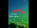 Download Lagu Permata sayang ~ full lirik \u0026 lagu qasidah