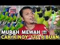 Lagu CARI YANG MURAH TAPI MEWAH || CAK KINOY DARI HARGA 170 RIBU CAK IJO 330 RIBU DI PASAR BURUNG PRAMUKA