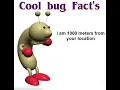 COOL BUG FACT S