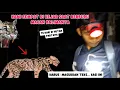 Download Lagu DETIK DETIK DI KEJAR MACAN KALIMANTAN SAAT BERBURU .75 hari di hutan cari #kayugaharu. part #16