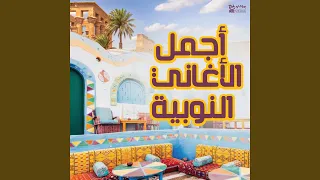                    دندنها