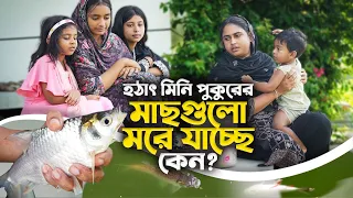 আমাদের মিনি পুকুরের মাছের টেস্ট কেমন ছিল | Village life with Shampa