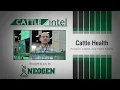 Cattle Intel Dr Nick Wagner Cattle Health Product Labels and Food Safety