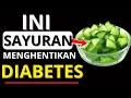 Lagu 4 Sayuran WAJIB untuk Penderita Diabetes agar Gula Darah Turun Cepat | Dr. Budi Santoso