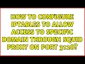 How to configure iptables to allow access to specific domain through squid proxy on port 3128