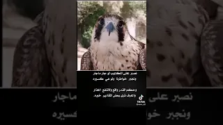 نصبر على المكتوب لو جار ماجار 乂 乂 