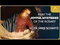 The Joyful Mysteries of the Rosary with Fr Mike Schmitz Sacred Art Version