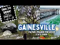 RV CAMPING IN GAINESVILLE FL PAYNES PRAIRIE STATE PARK