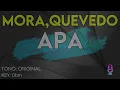 Quevedo, Mora - Apa - Karaoke Instrumental