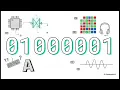 From 0s and 1s to Images How Computers Store Everything