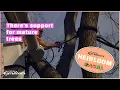 Tree Cabling Volunteer Gardener