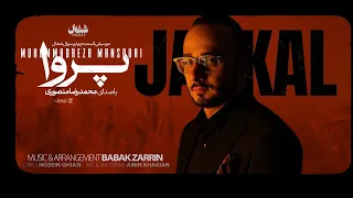محمدرضا منصوری   موزیک سریال شغال   پروا                                 دندنها
