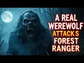 Download Lagu A REAL WEREWOLF ATTACKED ME WHEN I WAS A FOREST RANGER
