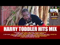 Harry Toddler Hits Mix (90s Dancehall) #scaredemcrew #harrytoddler