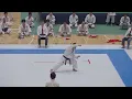 Download Lagu Shotokan Kata Bassai Dai