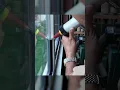 Download Lagu How to Install Security Window Film: Protect Your Windows
