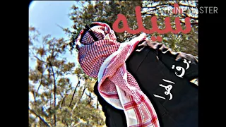 شيله برق الهوا دندنها